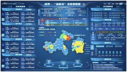 重慶7個(gè)案例獲評全國數(shù)字化監(jiān)管典型，數(shù)據(jù)處理服務(wù)成關(guān)鍵驅(qū)動(dòng)力